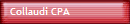 Collaudi CPA