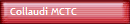 Collaudi MCTC